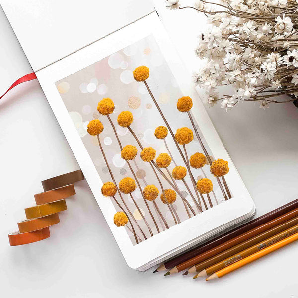 Billy Buttons - Original Painting