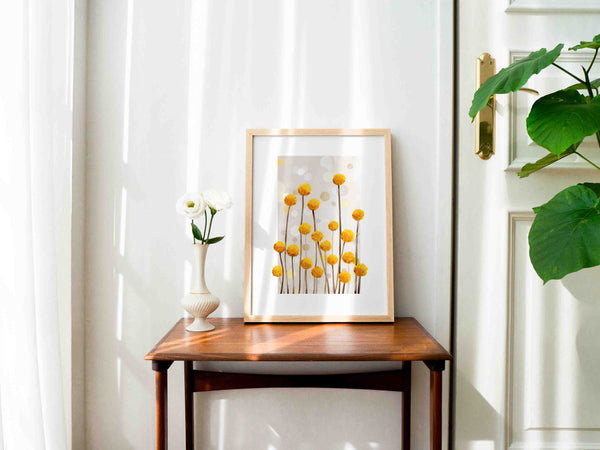 Billy Buttons - Art Print