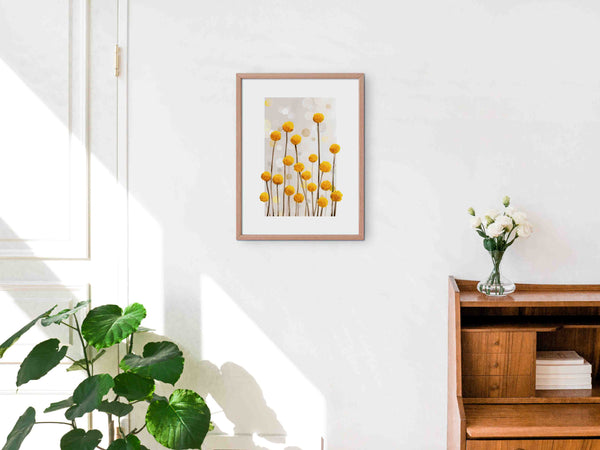 Billy Buttons - Art Print