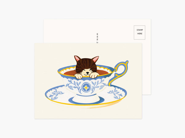 Set of 5 Cat Postcards