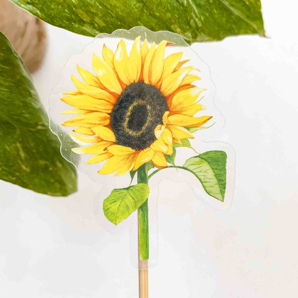 CLEAR Sunflower Sticker