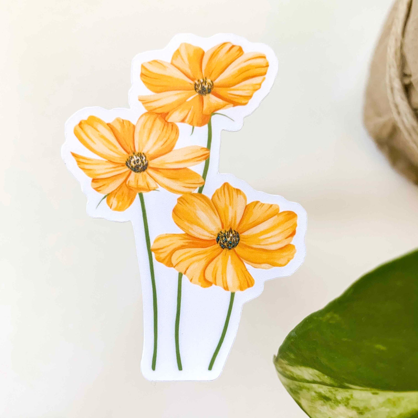 Cosmos Clear Sticker