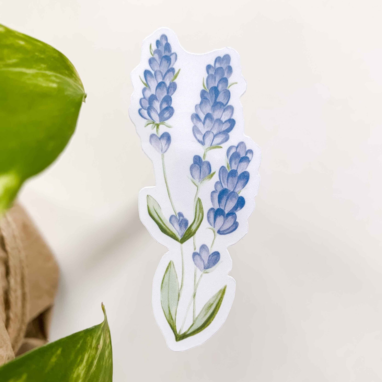 Lavender Vinyl Sticker