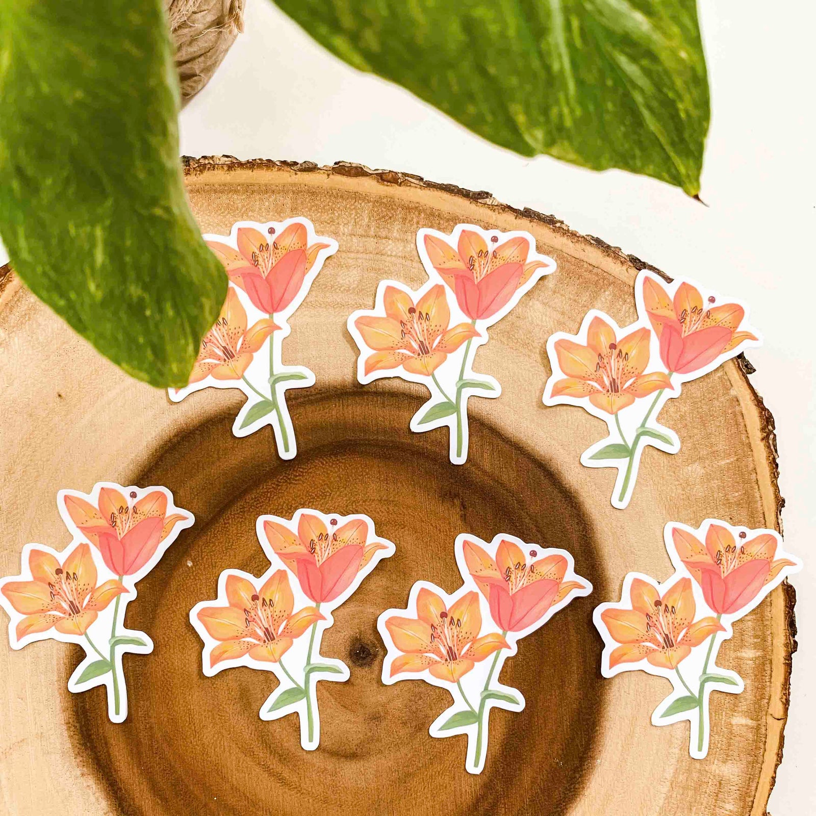 Tiger Lily Vinyl Sticker