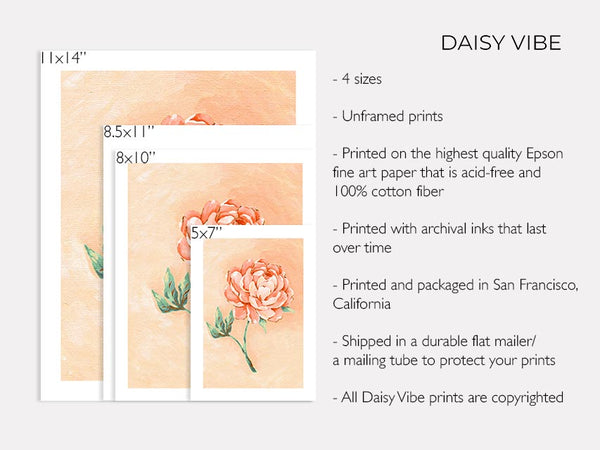 Peony - Art Print