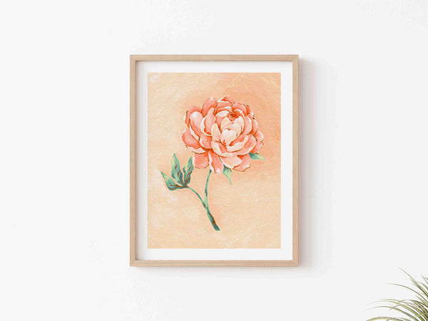 Peony - Art Print