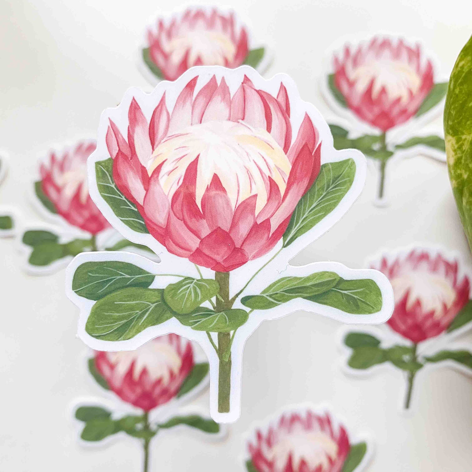 King Protea Vinyl Sticker