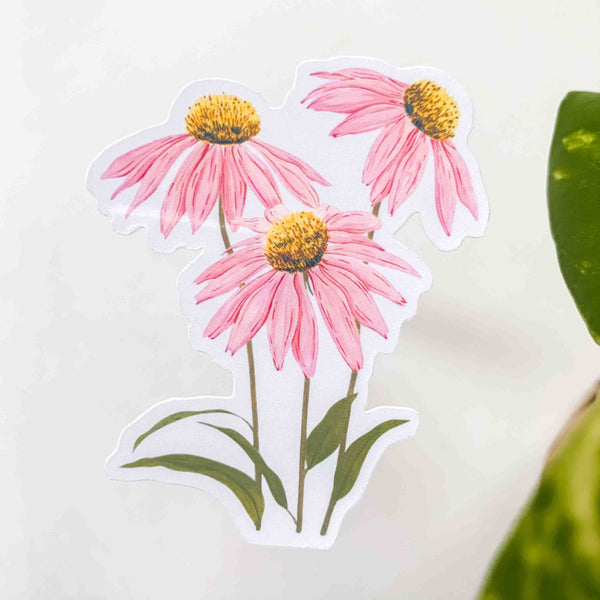 Echinacea Vinyl Sticker