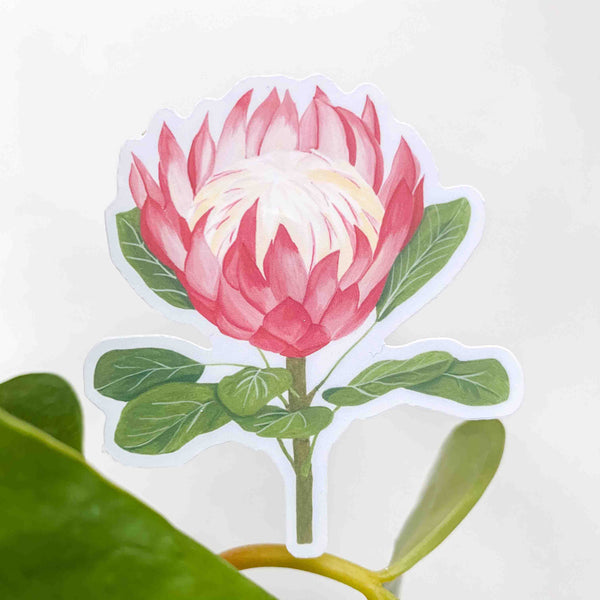 King Protea Vinyl Sticker