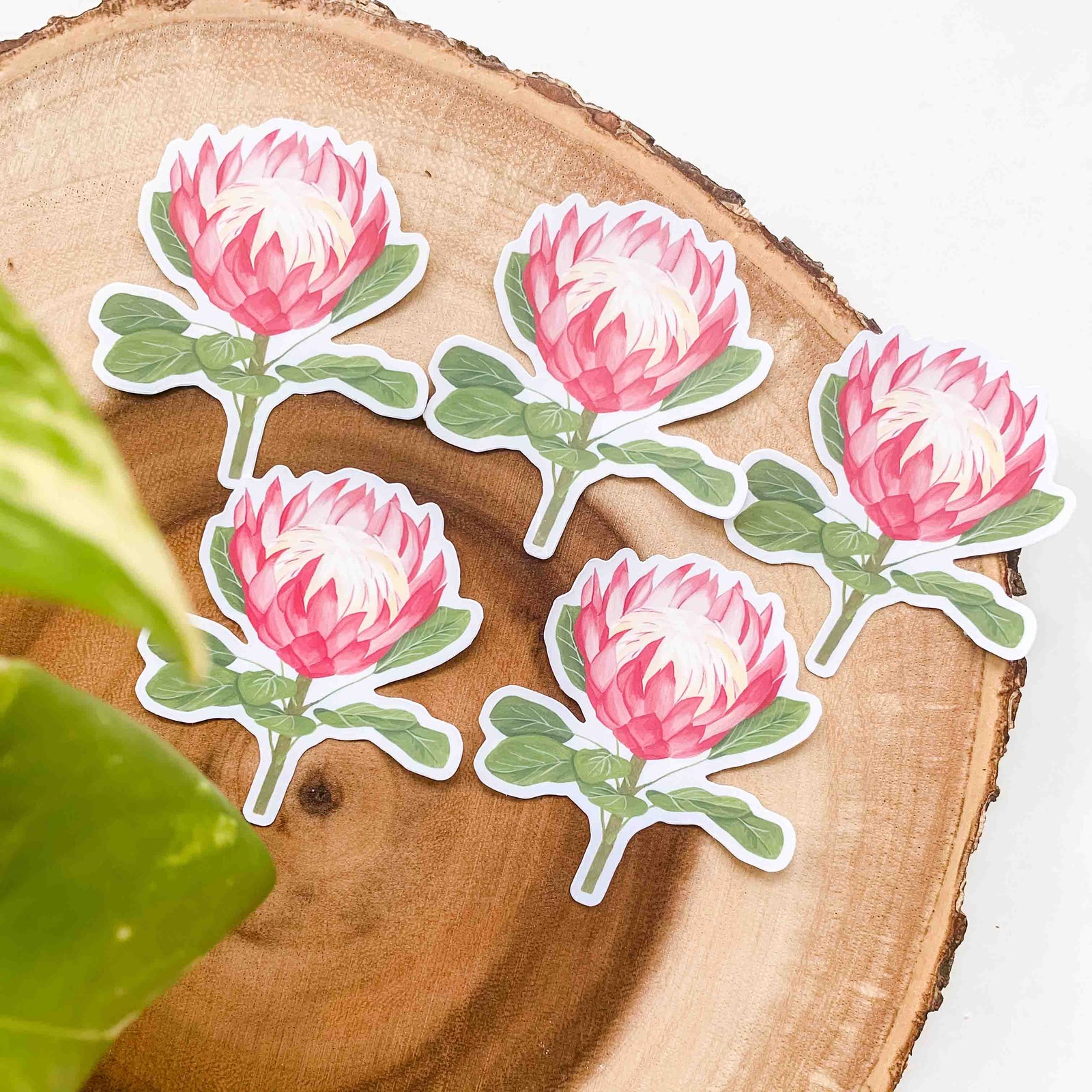 King Protea Vinyl Sticker