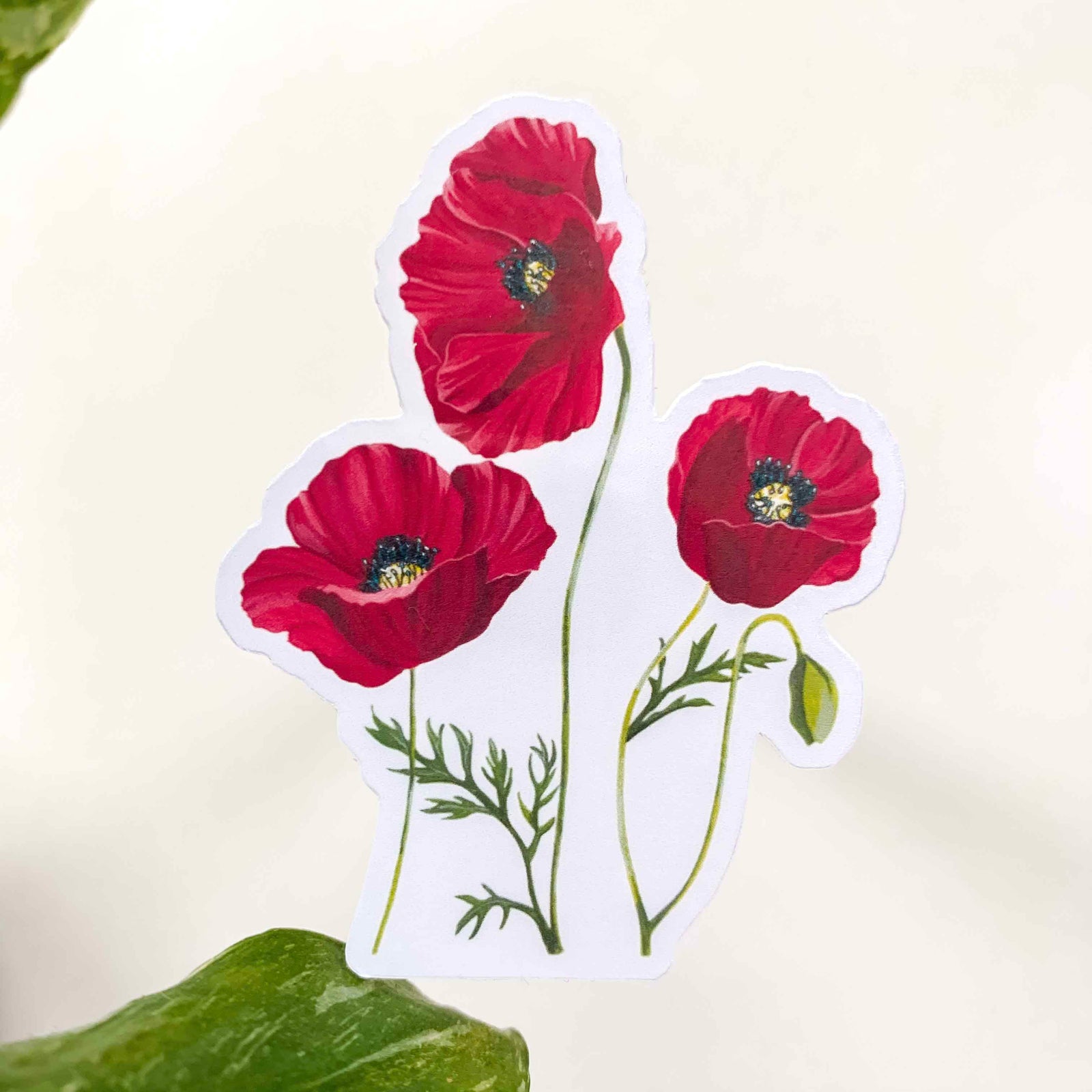 Red Poppies Clear Sticker