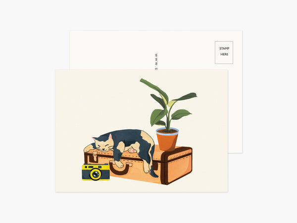 Set of 5 Cat Postcards