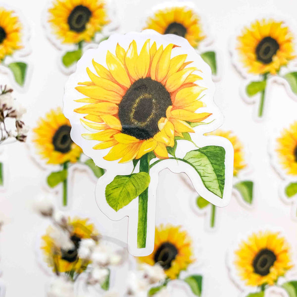 CLEAR Sunflower Sticker