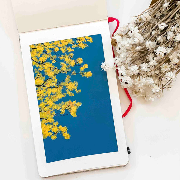 Tabebuia Chrysantha - Original Painting