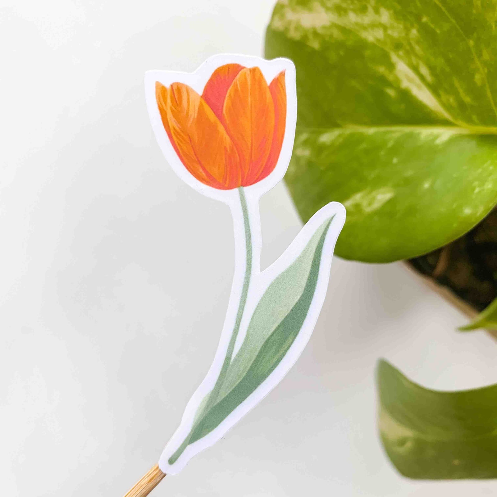 Tulip Vinyl Sticker