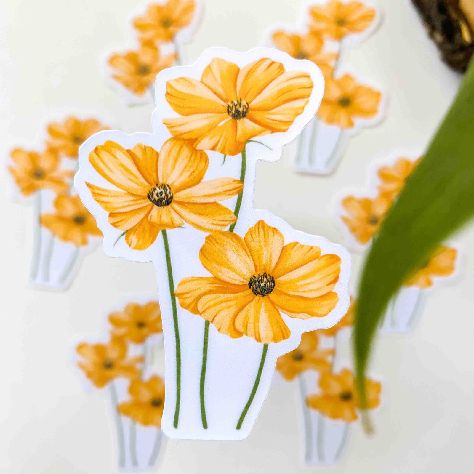 Cosmos Clear Sticker