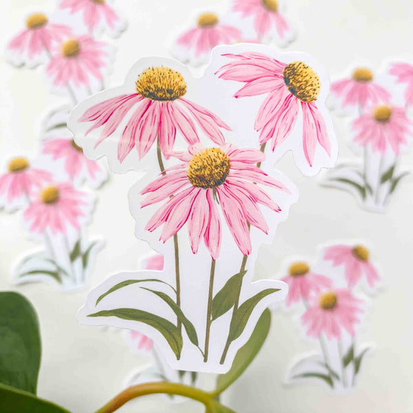 Echinacea Vinyl Sticker