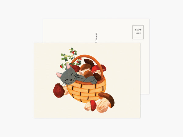 Set of 5 Cat Postcards