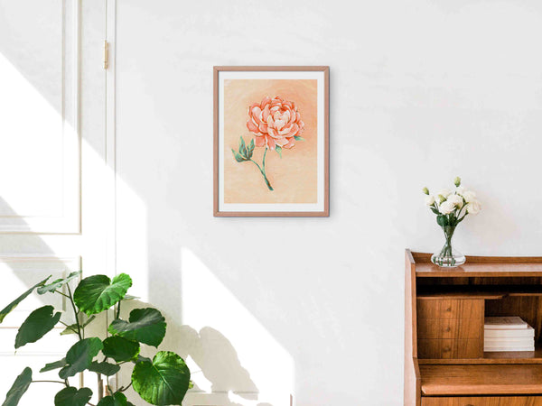 Peony - Art Print