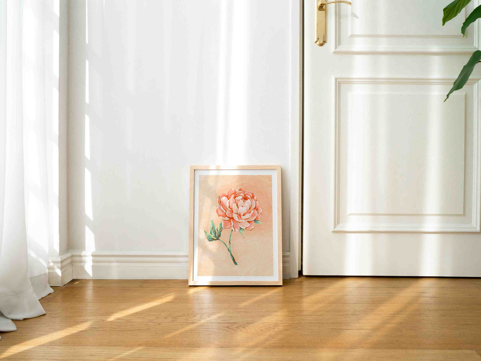 Peony - Art Print