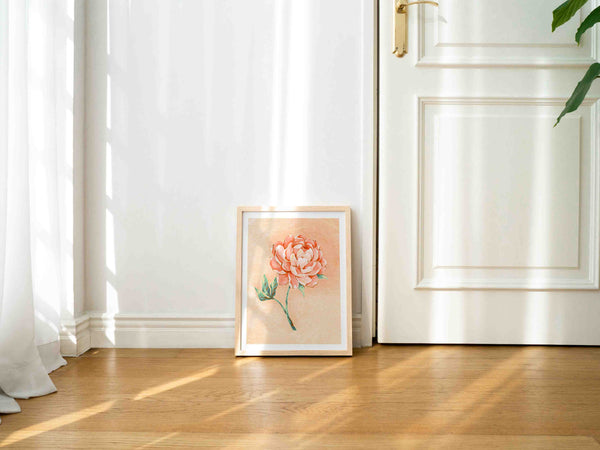 Peony - Art Print