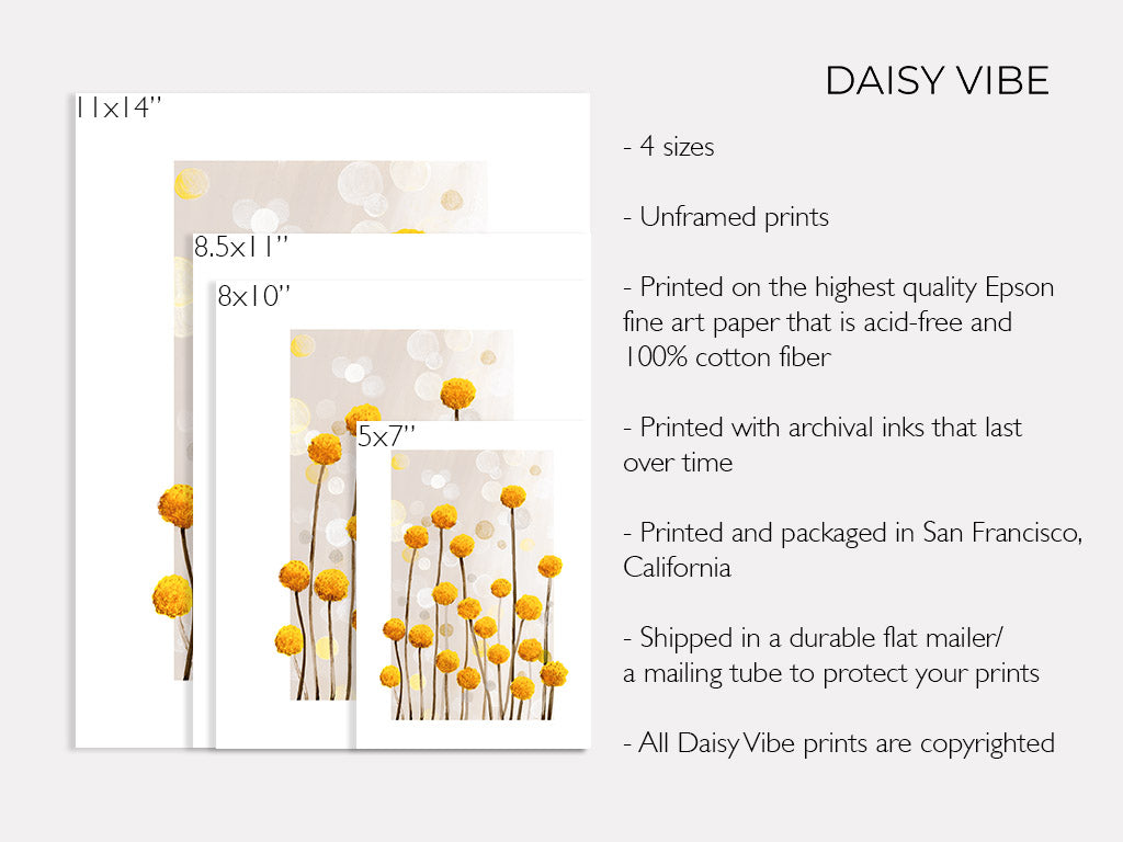 Billy Buttons - Art Print