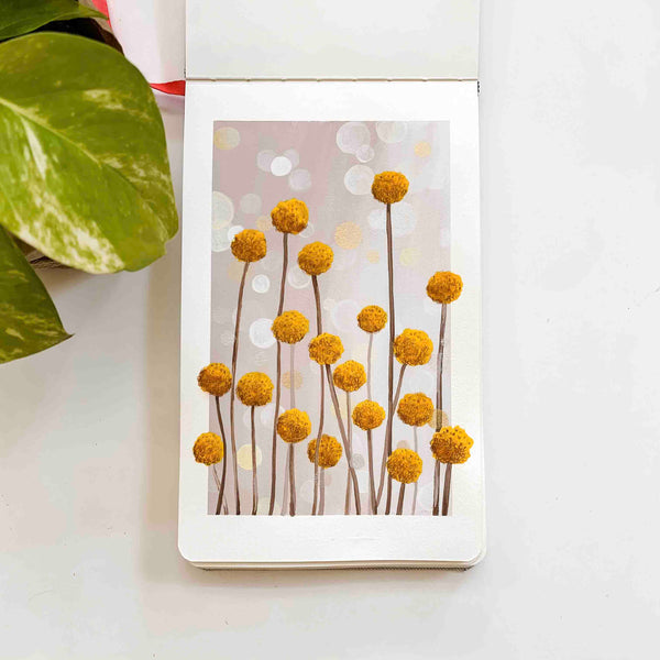 Billy Buttons - Original Painting