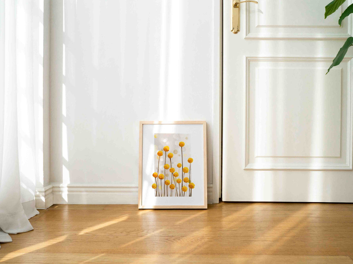 Billy Buttons - Art Print