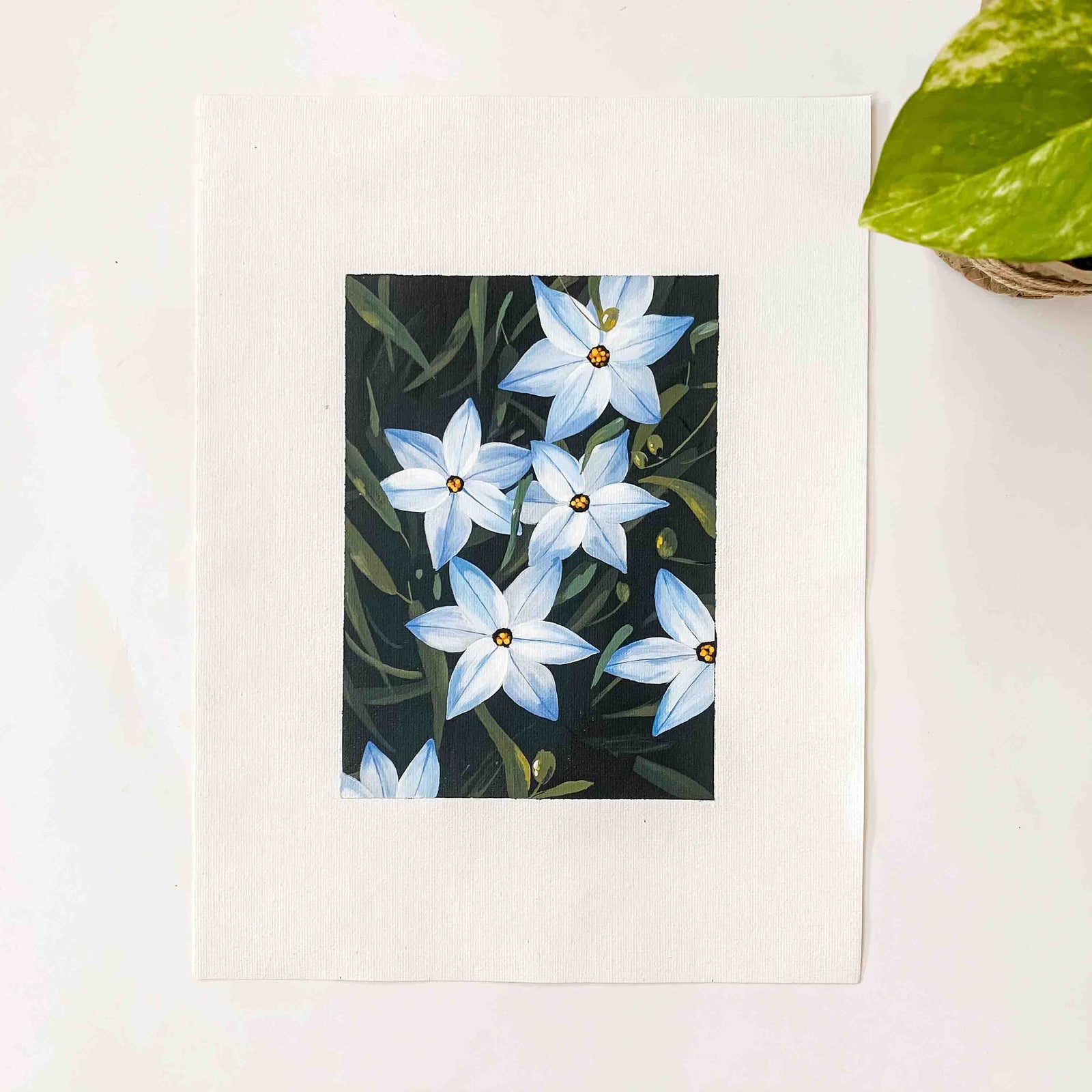 Blue Starflowers Original Painting on Canvas Pad