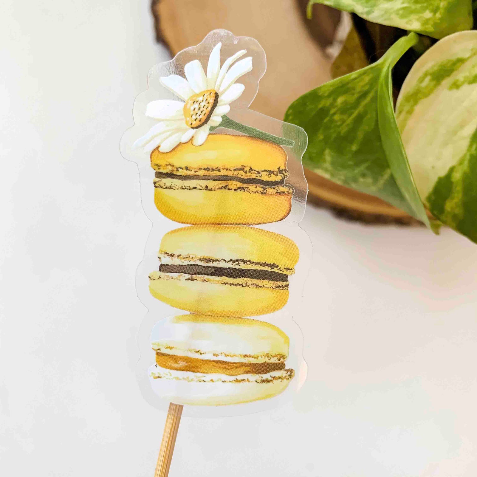 CLEAR Daisy Macaron Sticker