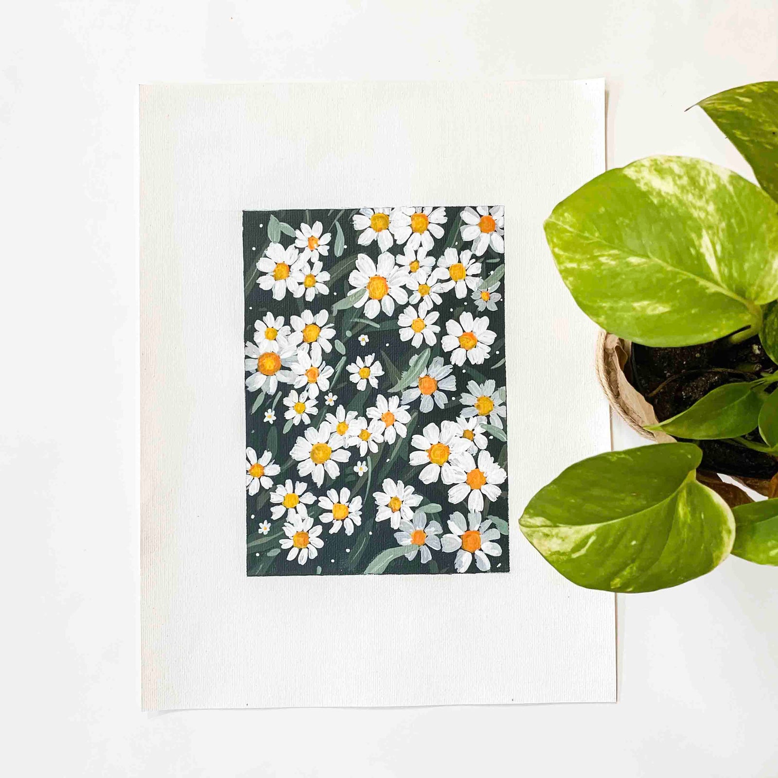 Daisy Original Painting on Canvas Pad
