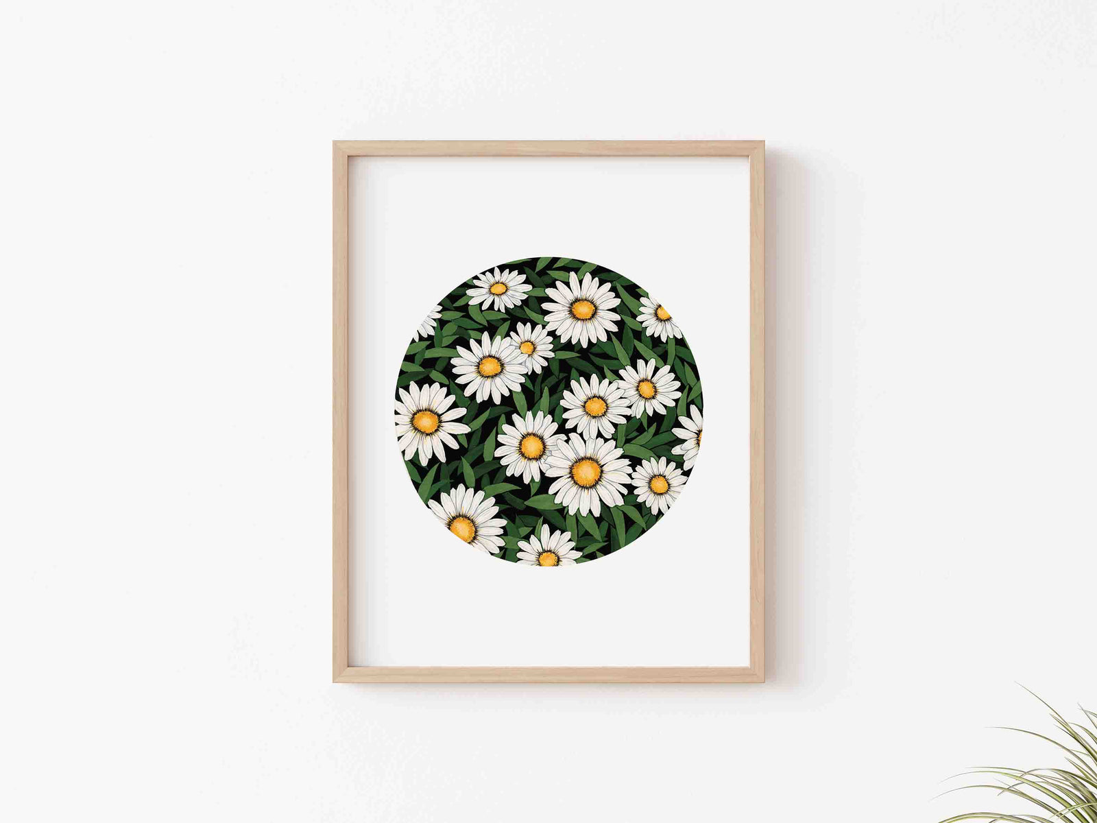 Daisy Art Print