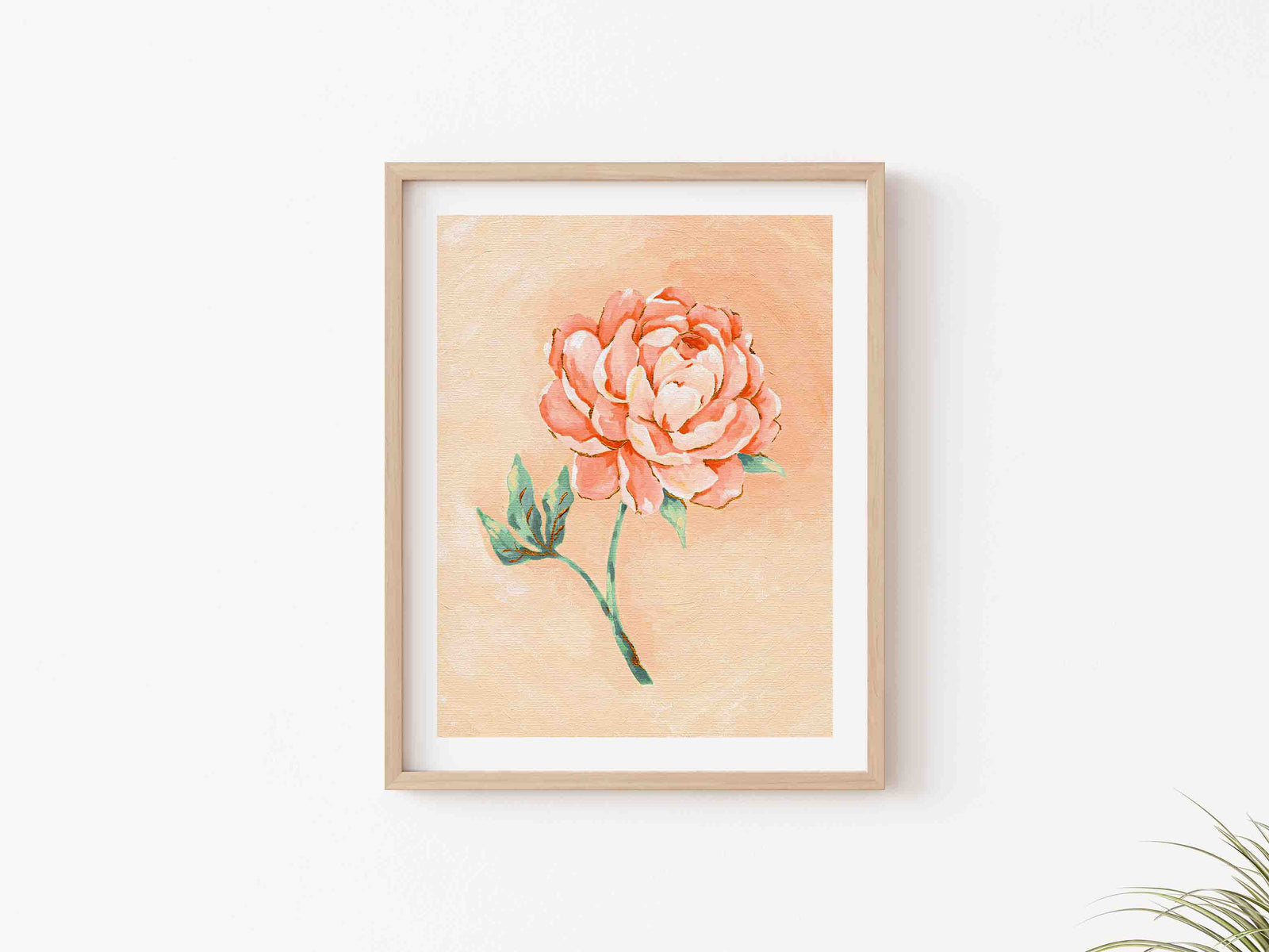 Peony - Art Print