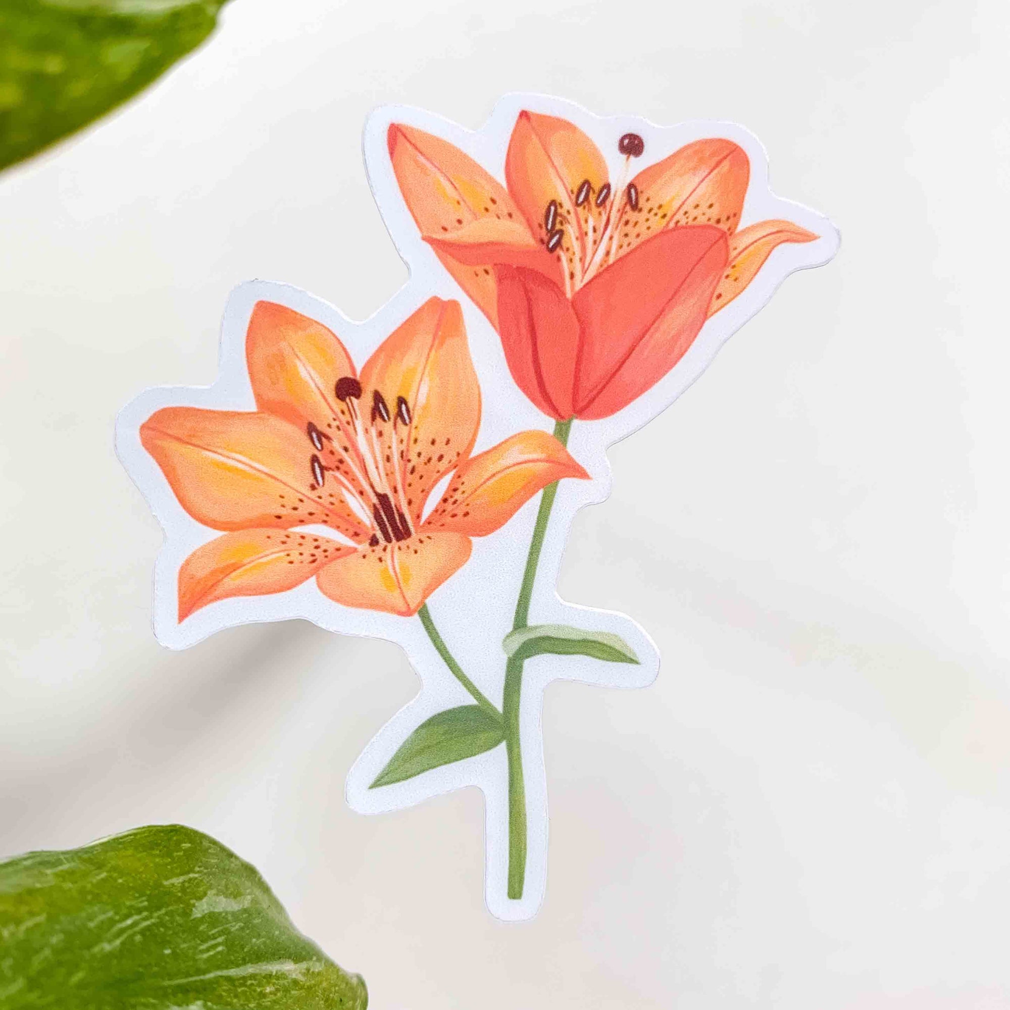 tiger lily wall stickers Tiger Lily Vinyl Sticker