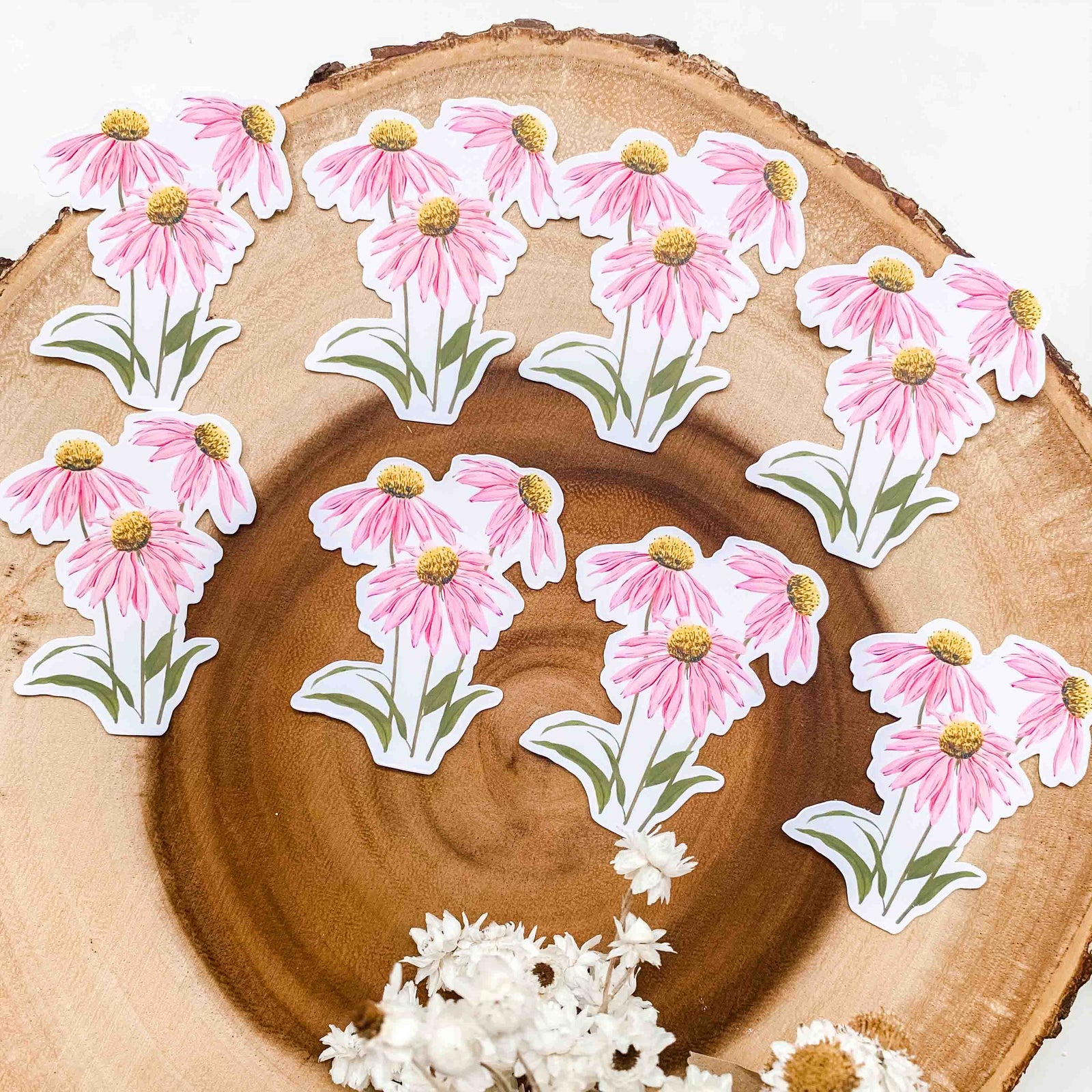 Echinacea Vinyl Sticker