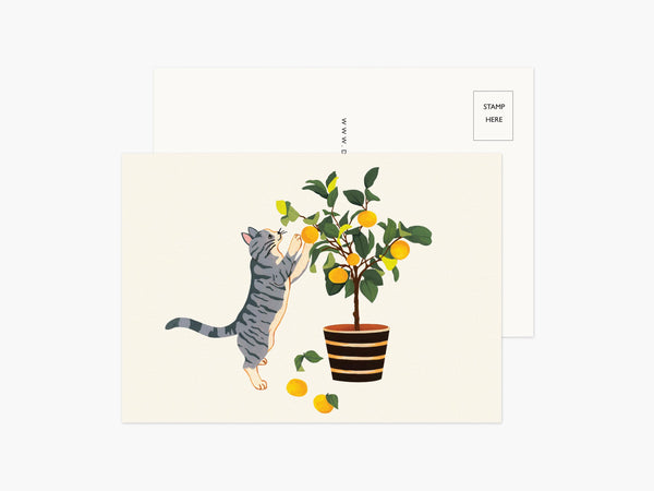 Set of 5 Cat Postcards